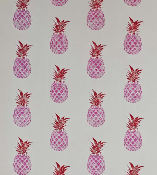 Pineapple Wallpaper by Barneby Gates Red/Pink