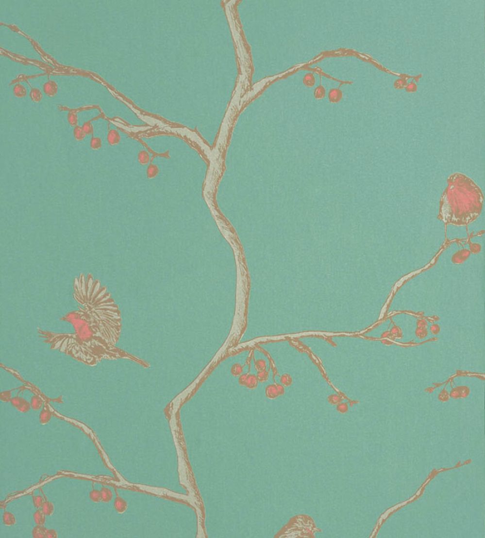 The English Robin Wallpaper by Barneby Gates Jade