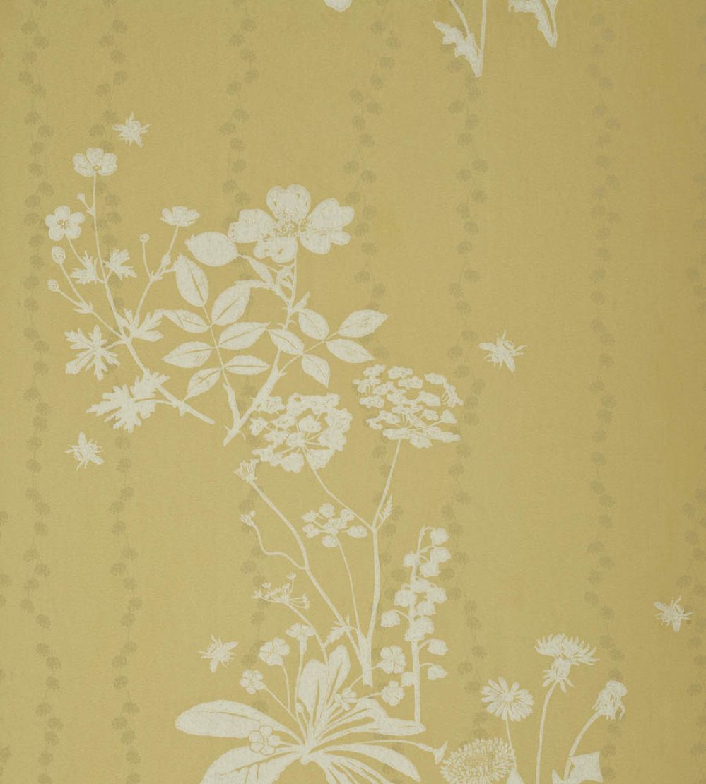 Wild Meadow Wallpaper by Barneby Gates Dandelion