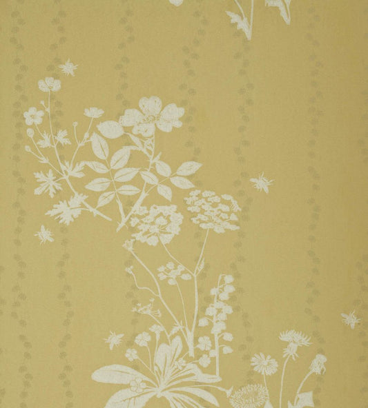 Wild Meadow Wallpaper by Barneby Gates Dandelion