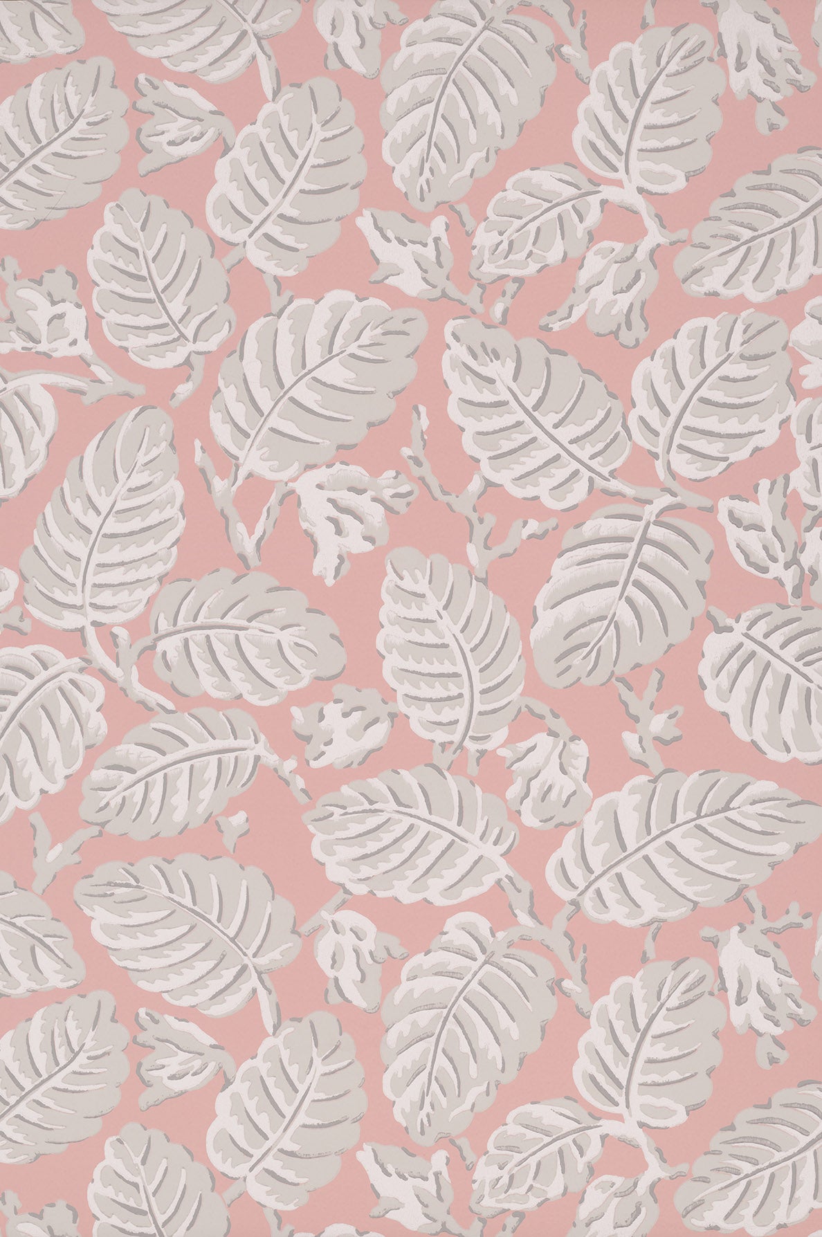 Beech Nut wallpaper by Little Greene in Delicate