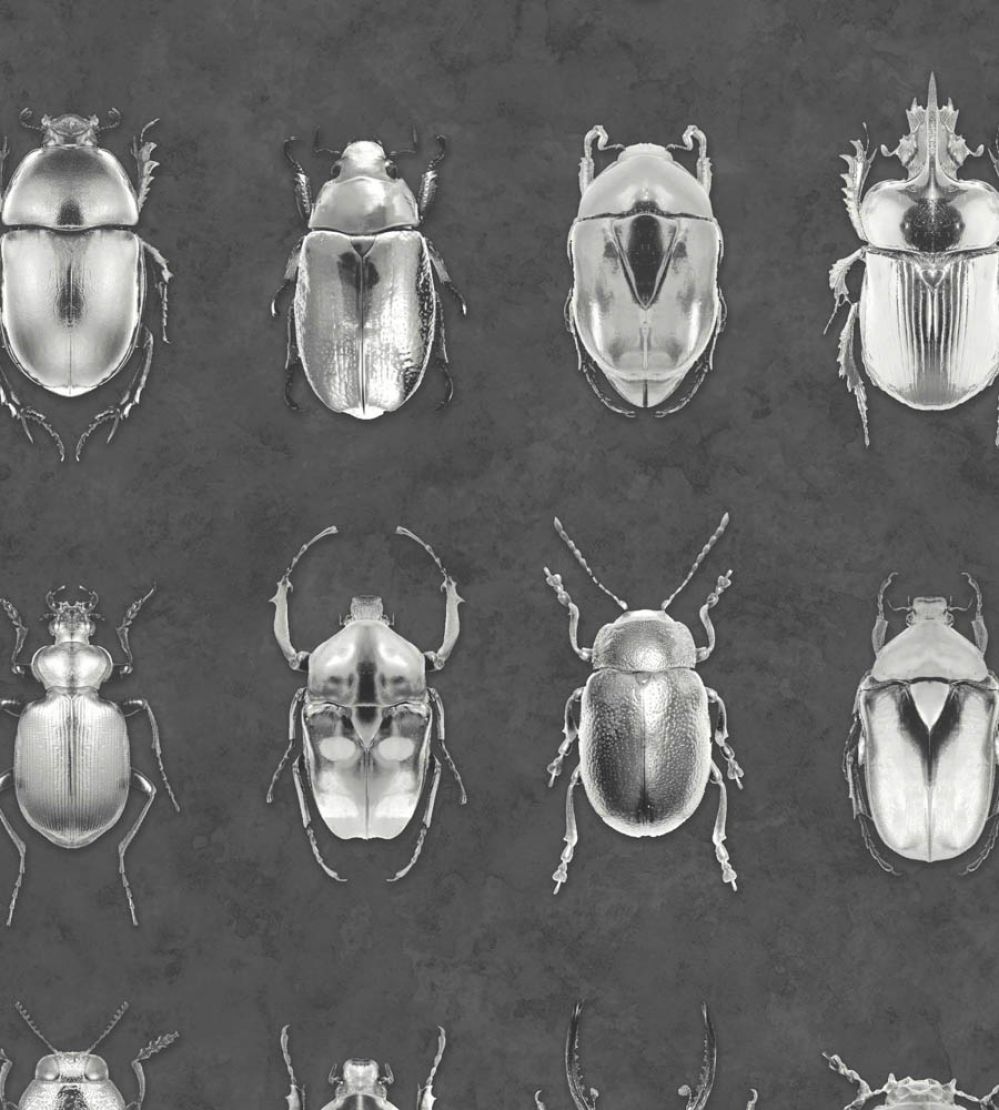 Beetle Jewels Wallpaper by Woodchip & Magnolia Silver/Grey