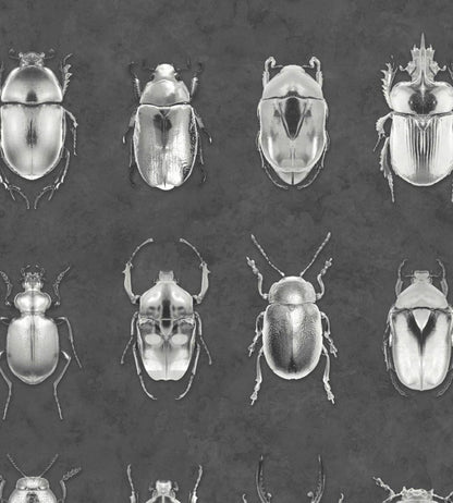 Beetle Jewels Wallpaper by Woodchip & Magnolia Silver/Grey