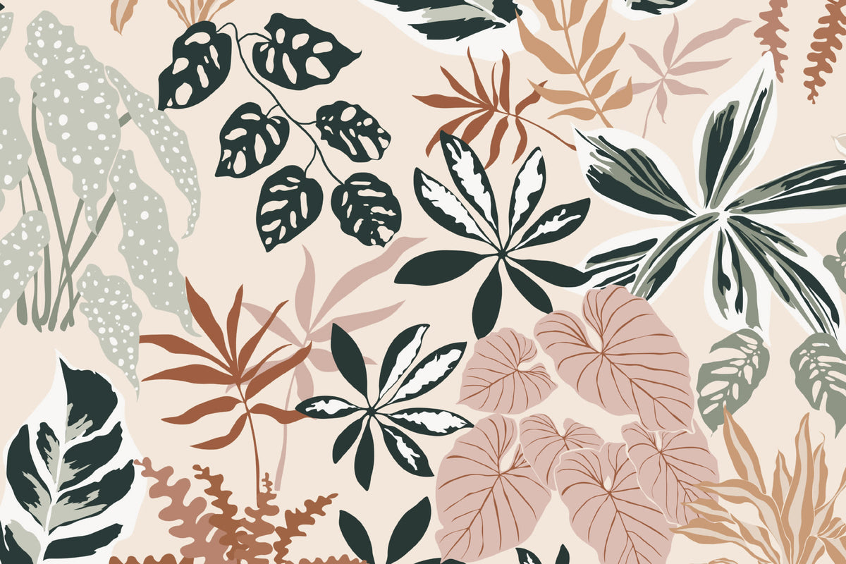 Begonia Original wallpaper by Hovia