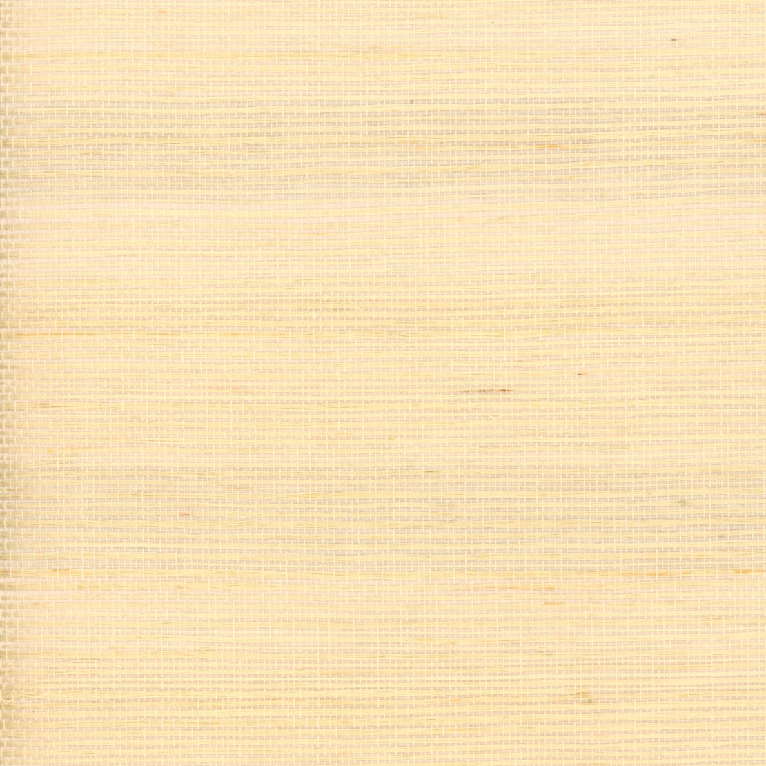 TRH51000 Wallpaper