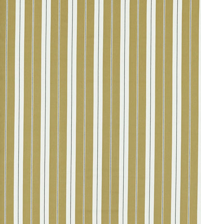 Belgravia Fabric by Clarke & Clarke Ochre/Charcoal
