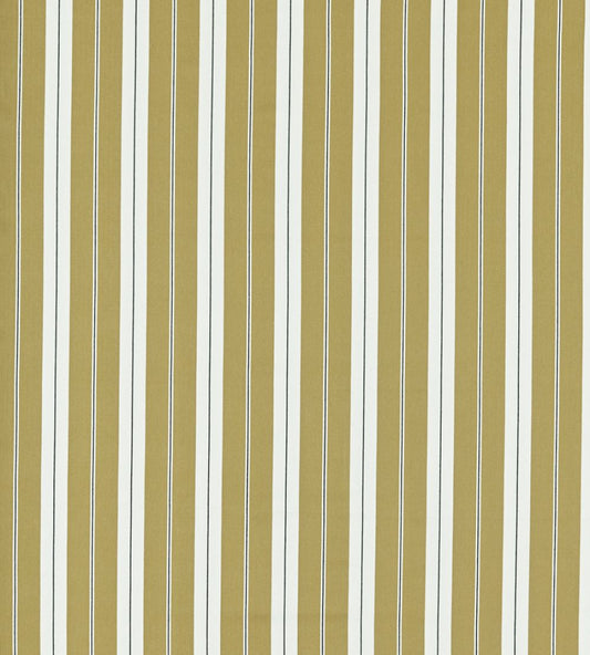 Belgravia Fabric by Clarke & Clarke Ochre/Charcoal