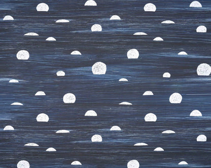 Belle Lune Wallpaper by Pierre Frey in Nuit (FP059002)