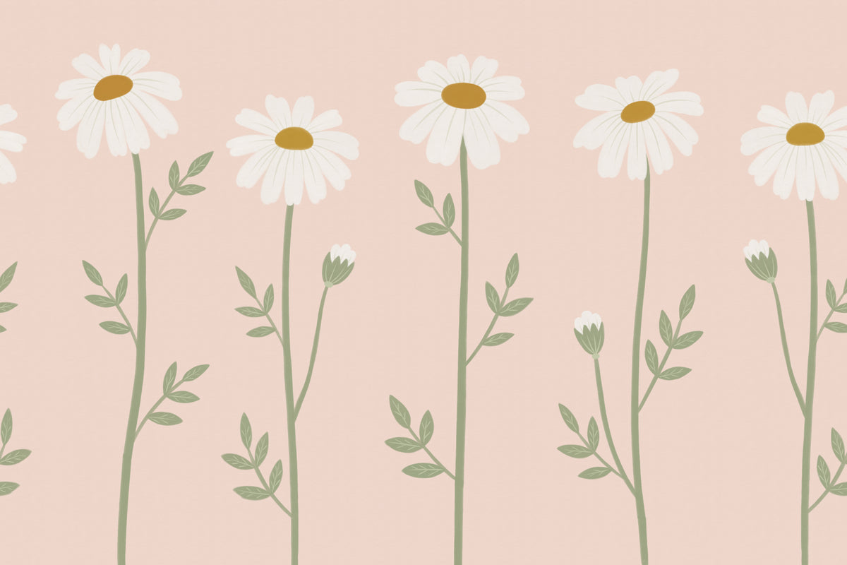 Bellis Pink mural by Hovia