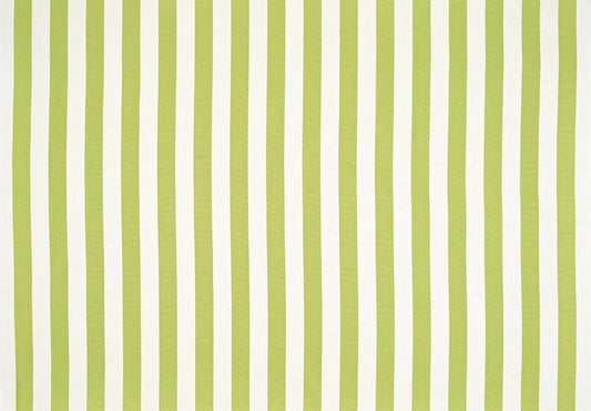 Belvedere Fabric by Pierre Frey in Herbe (F3877003)