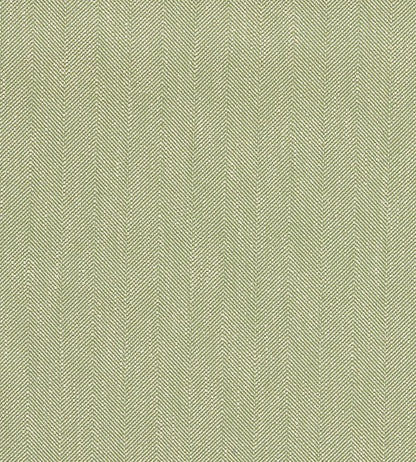 Benwick Fabric by Sanderson Leaf Green