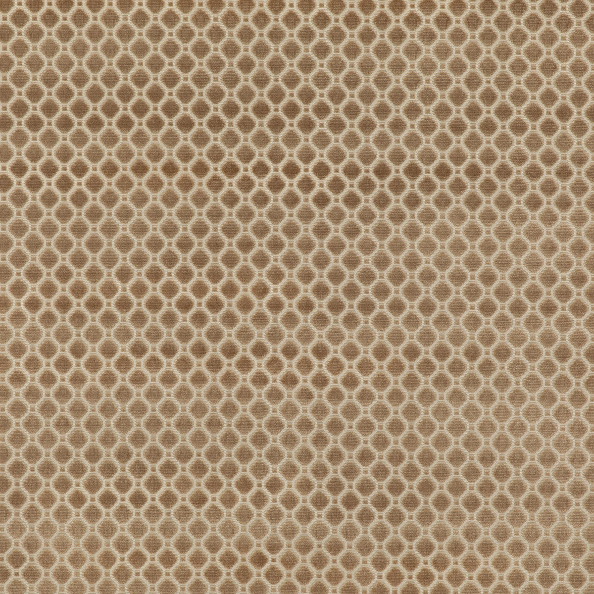 Indus Velvet - Oyster