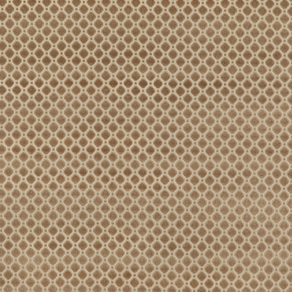 Indus Velvet - Oyster