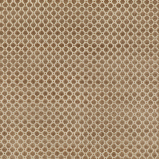Indus Velvet Fabric by G P & J Baker in Oyster