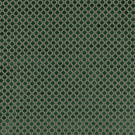 Indus Velvet Fabric by G P & J Baker in Emerald