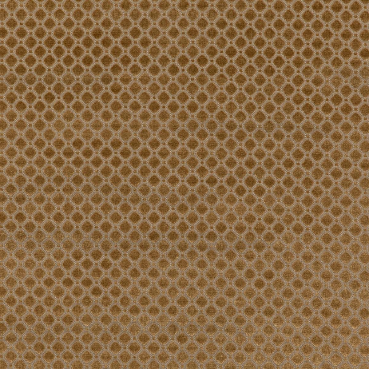 Indus Velvet - Bronze