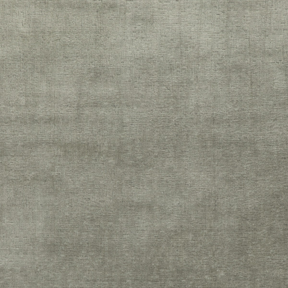 Alma Velvet Fabric by G P & J Baker in Pewter