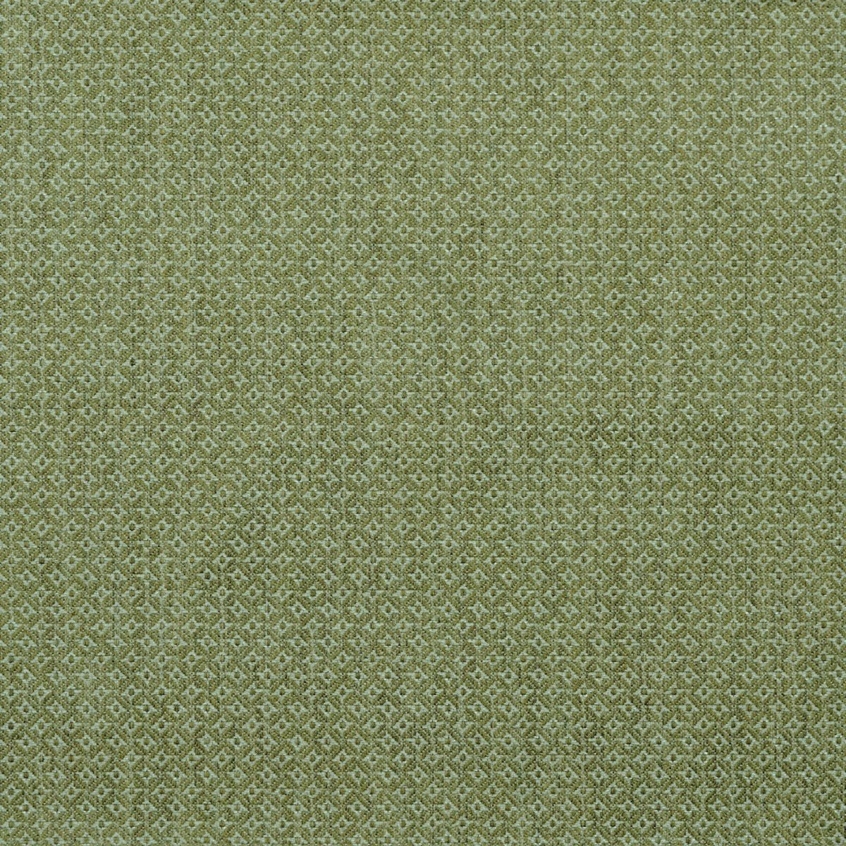 Cavendish - Lime