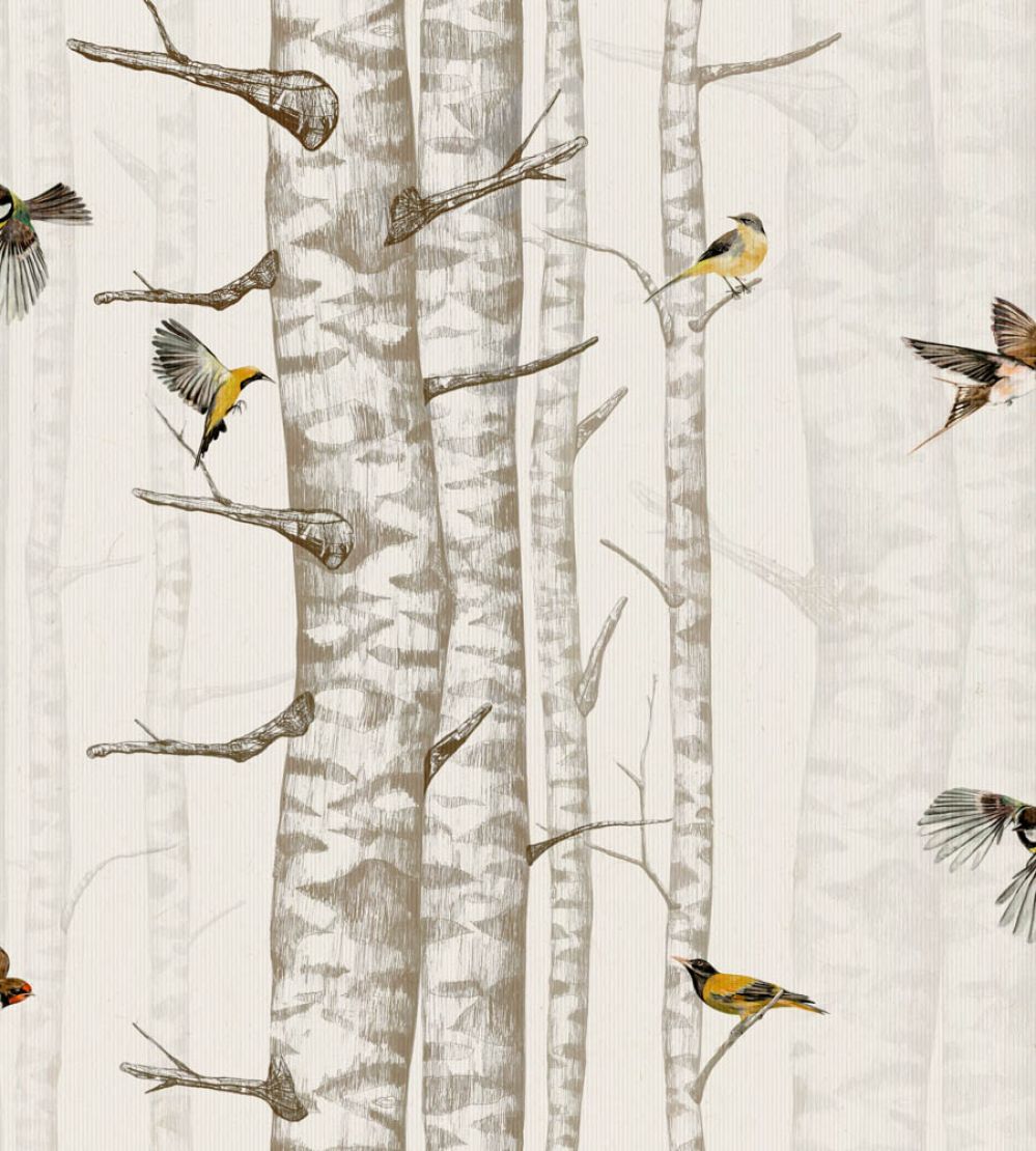 Birch Trees Wallpaper by Coordonne Beige
