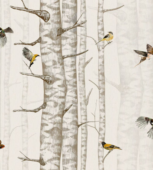 Birch Trees Wallpaper by Coordonne Beige