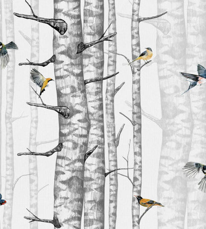 Birch Trees Wallpaper by Coordonne Grey