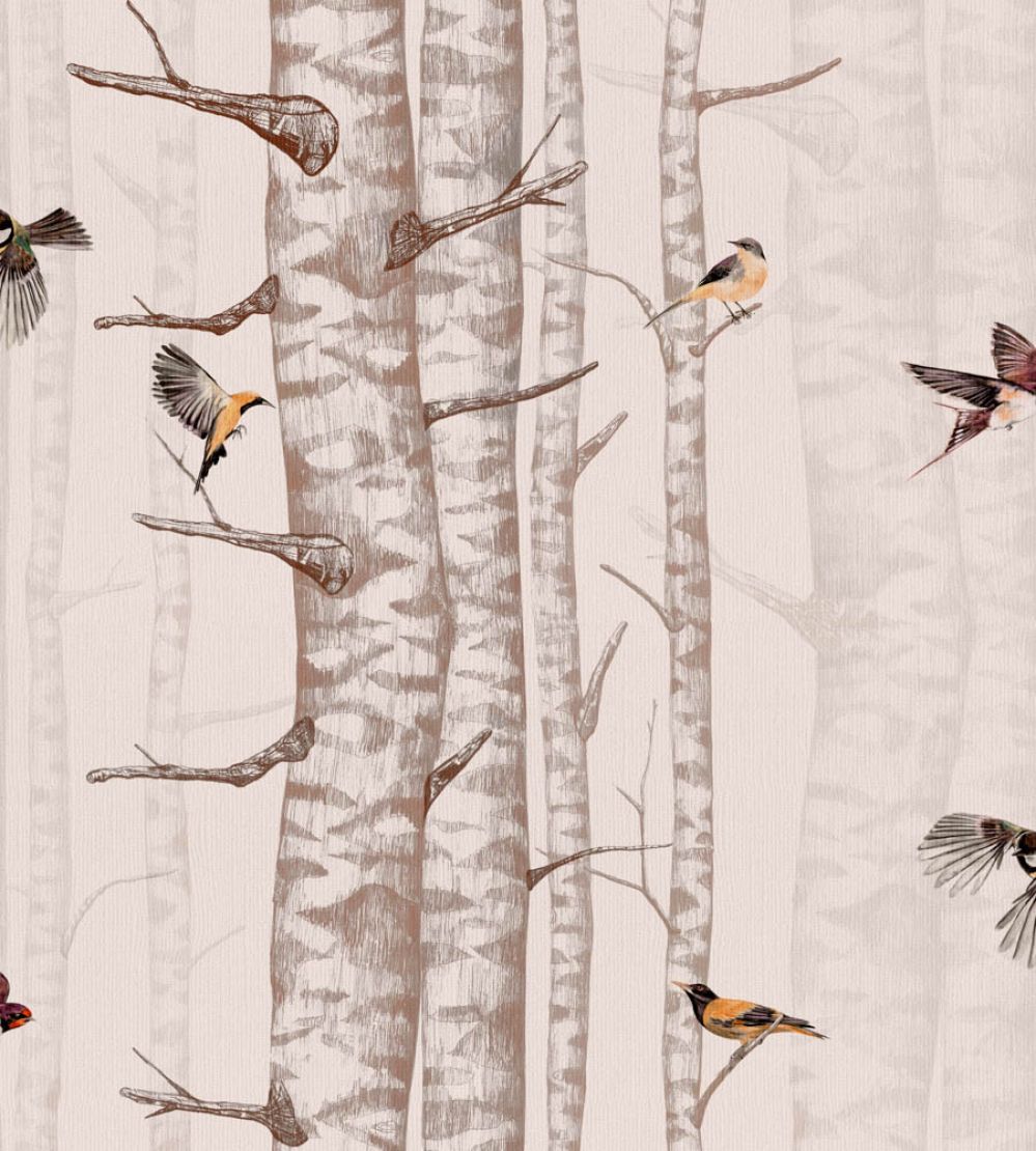 Birch Trees Wallpaper by Coordonne Pink