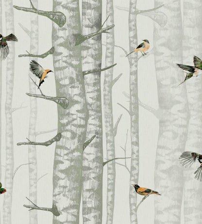 Birch Trees Wallpaper by Coordonne Silvester