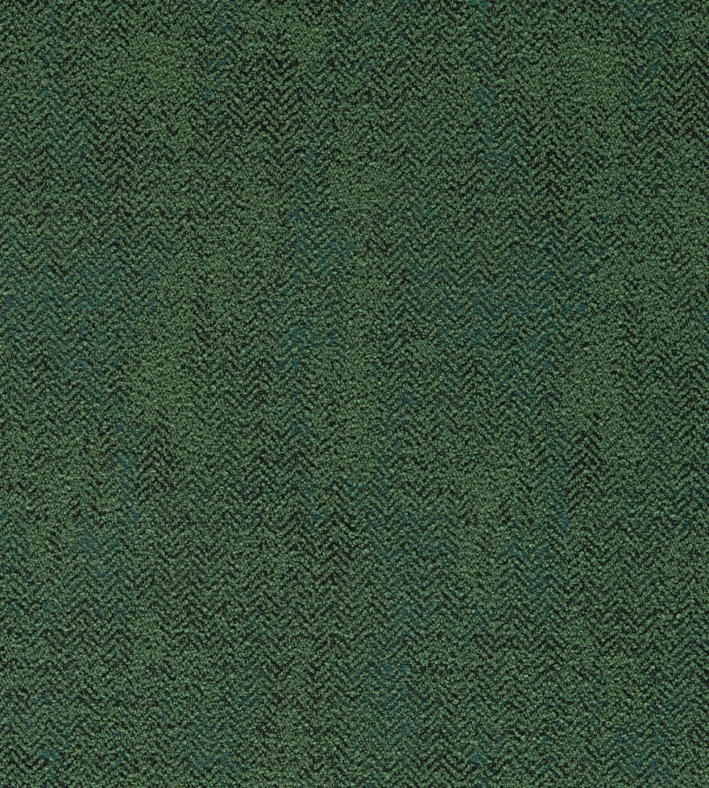 Bjorn Fabric by Clarke & Clarke Moss