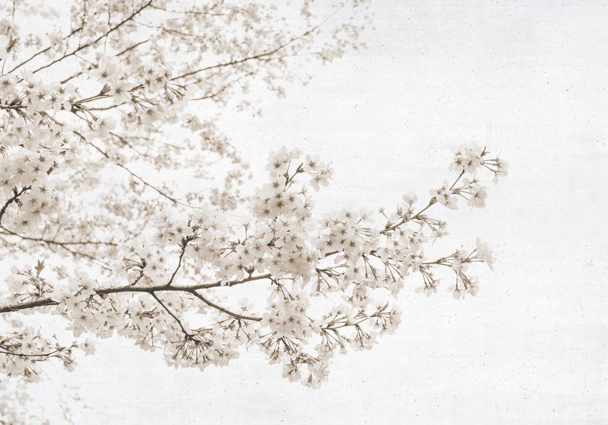 Blossom mural by Coordonné in Almond Tree Grey, flat pattern view