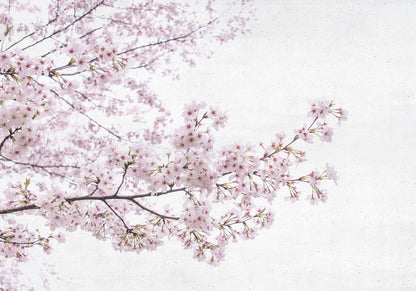Blossom mural by Coordonné in Almond Tree Pink, flat pattern view