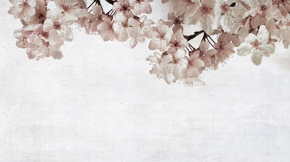 Blossom mural by Coordonné in Big Almond Flower, flat pattern view