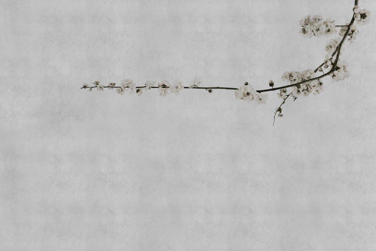 Blossom mural by Coordonné in Branch Grey, flat pattern view