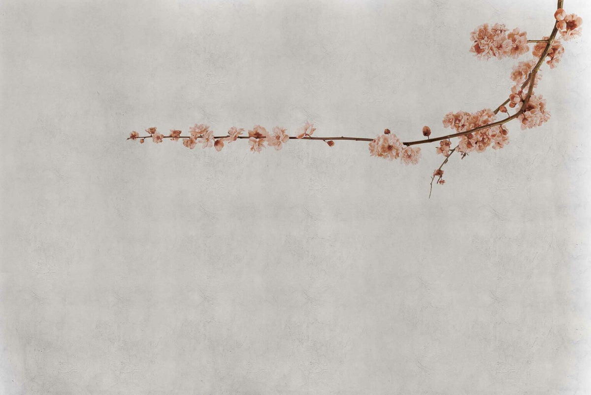 Blossom mural by Coordonné in Branch Pink, flat pattern view