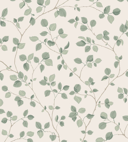 Bokskog Wallpaper by Sandberg Garden Green