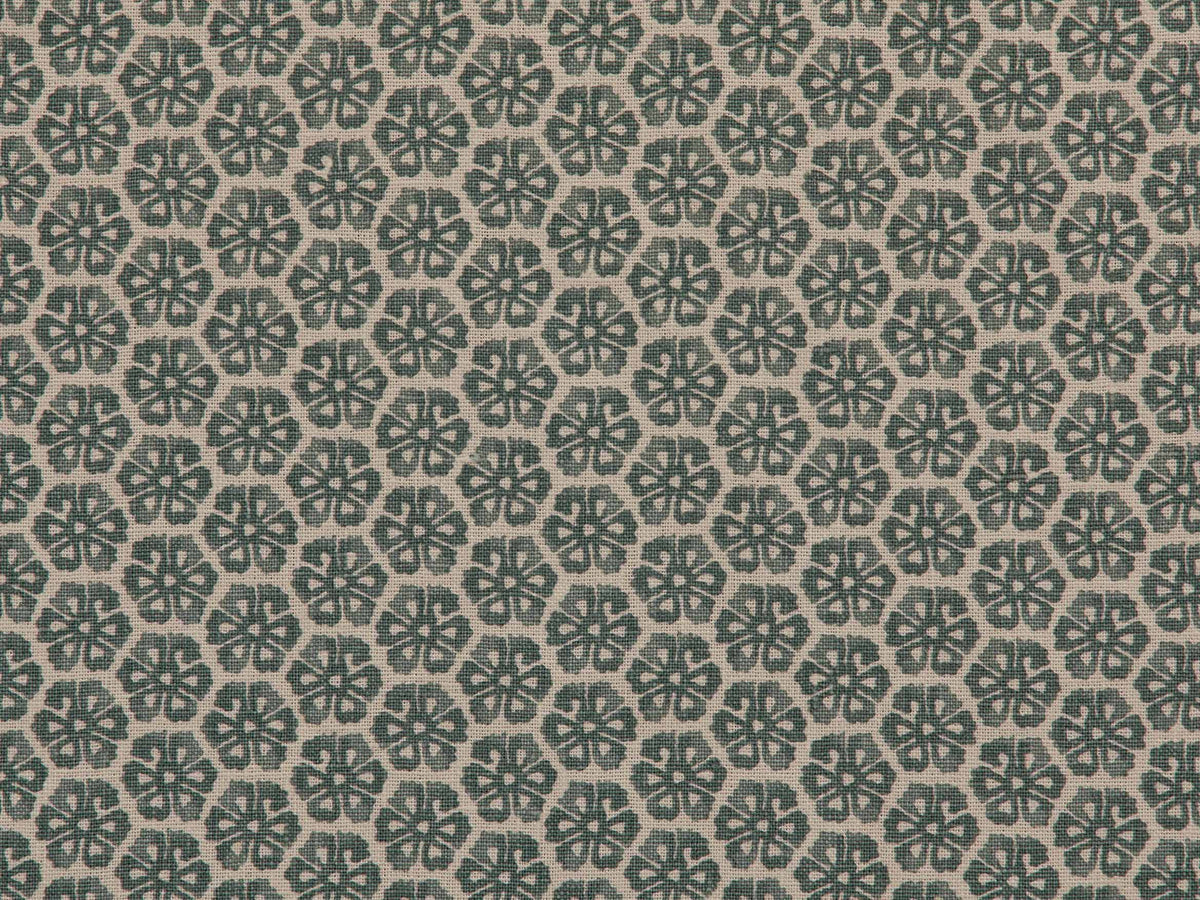 Bokul Eucalyptus