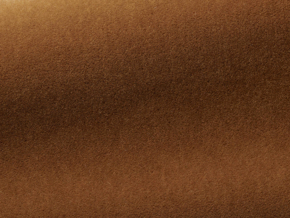 Bold Fabric by Pierre Frey in Cigare (F3212005)