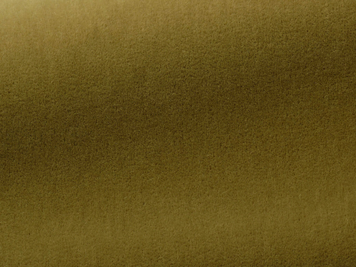 Bold Fabric by Pierre Frey in Fougère (F3212007)