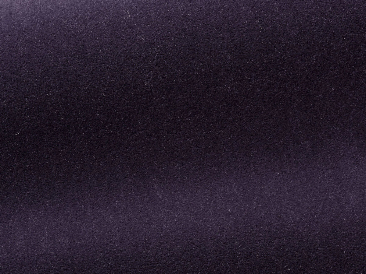 Bold Fabric by Pierre Frey in God Save the Queen (F3212013)