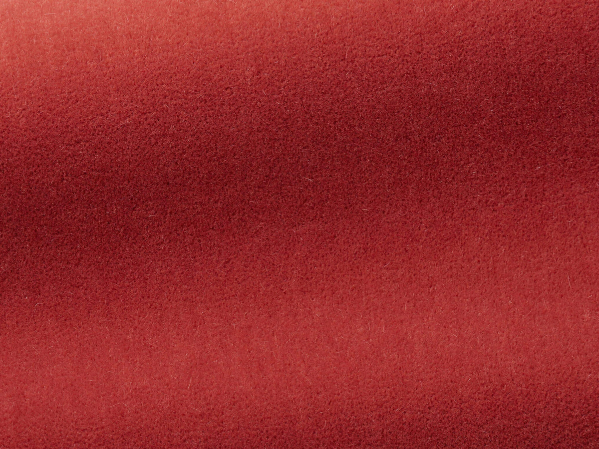 Bold Fabric by Pierre Frey in In Love (F3212020)
