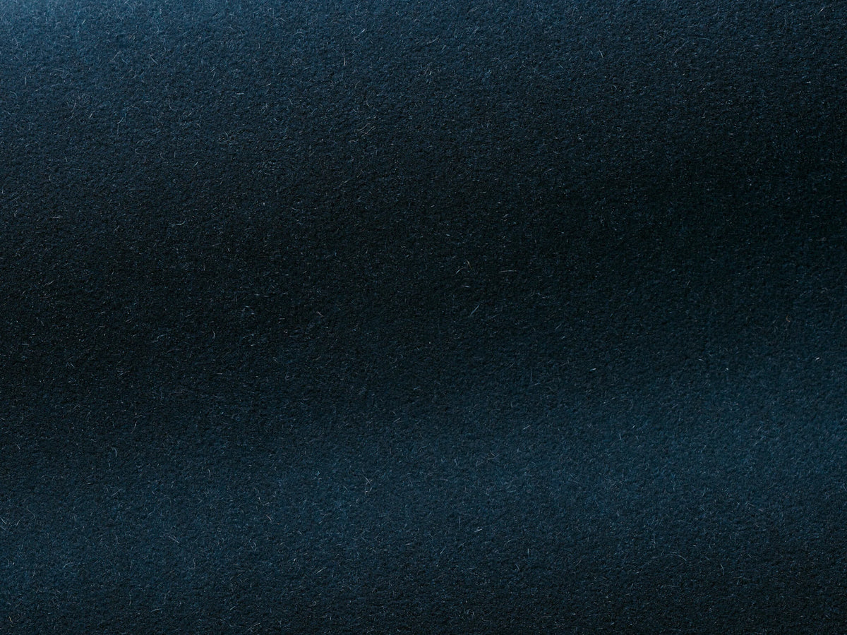 Bold Fabric by Pierre Frey in Navy (F3212011)