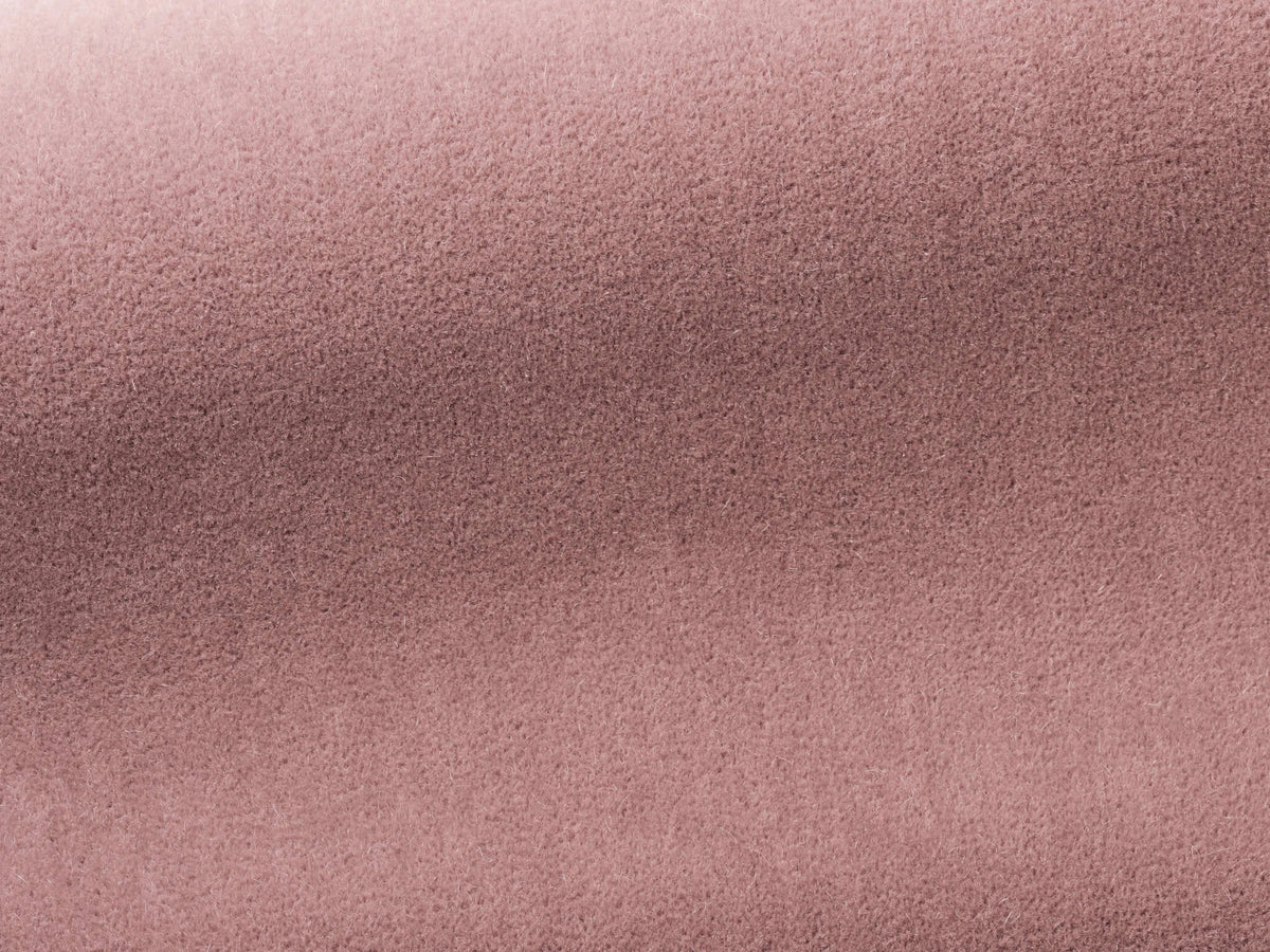 Bold Fabric by Pierre Frey in Piggy (F3212015)