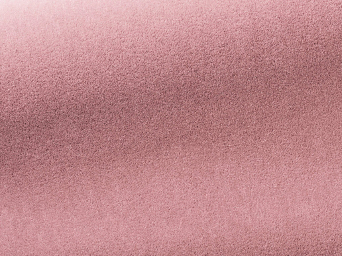 Bold Fabric by Pierre Frey in Sketch (F3212016)