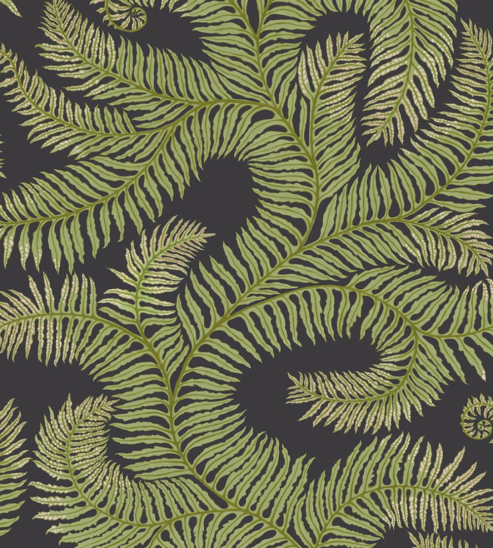 Bombe's Fernery Wallpaper by Josephine Munsey Dark Grey and Green