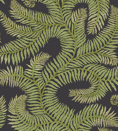 Bombe's Fernery Wallpaper by Josephine Munsey Dark Grey and Green