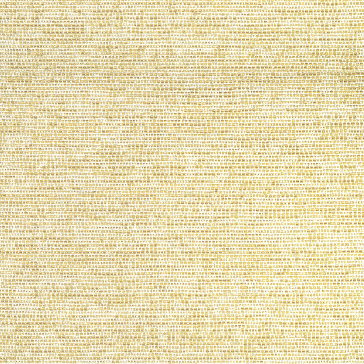 Borealis Fabric by Thibaut in Buttercup (W75232)