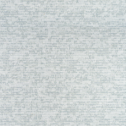Borealis Fabric by Thibaut in Glacier (W75235)
