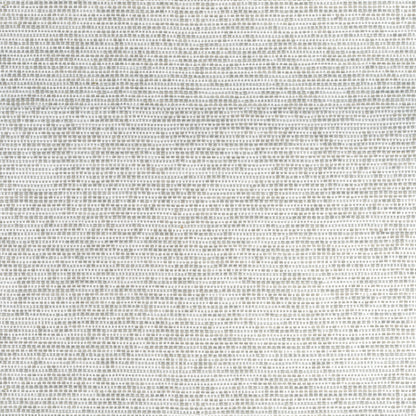 Borealis Fabric by Thibaut in Platinum (W75237)