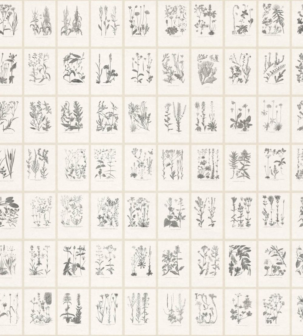 Botanica Mural by Sandberg Graphite
