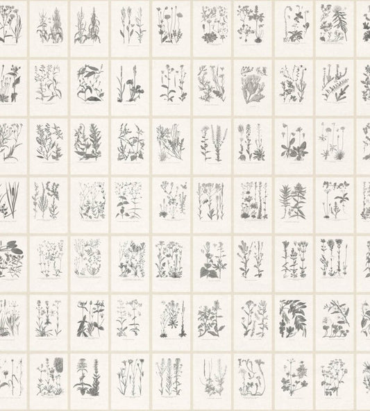 Botanica Mural by Sandberg Graphite