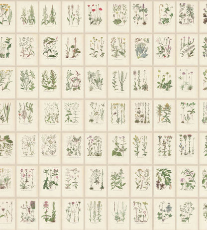 Botanica Mural by Sandberg Oat